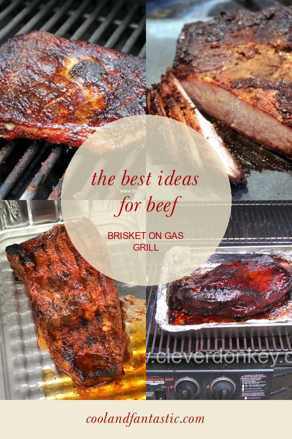 beef brisket gas grill